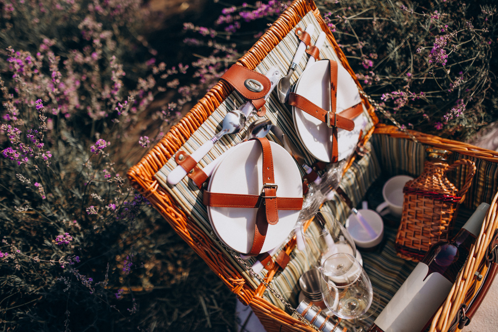 Picnic